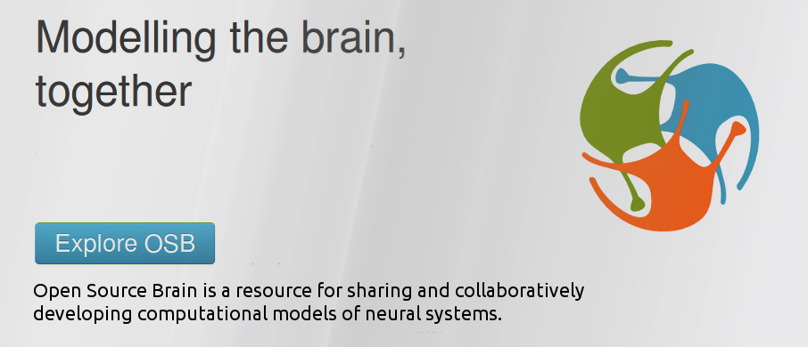 NeuroML allows building advanced modelling tools such as the Open Source Brain platform where users can simulate, visualise, and analyse computational models.